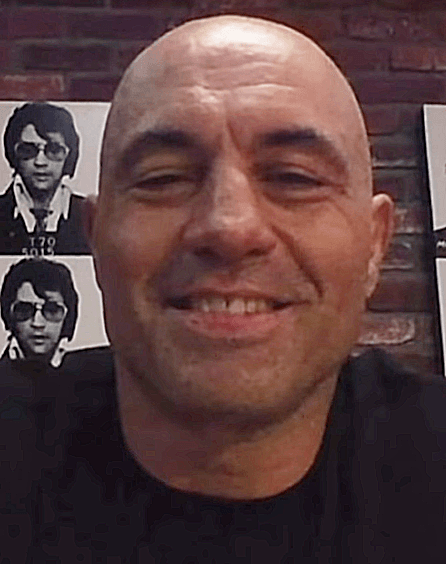 Joe Rogan - Sports Personality with confirmed hair transplant