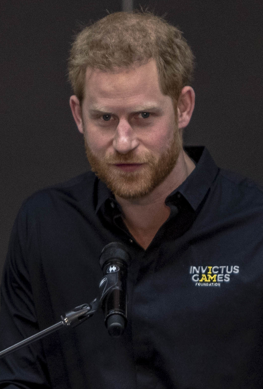 Prince Harry - Public Figure hair transplant
